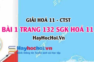 Giải bài 1 trang 132 Hoá 11 SGK Chân trời sáng tạo